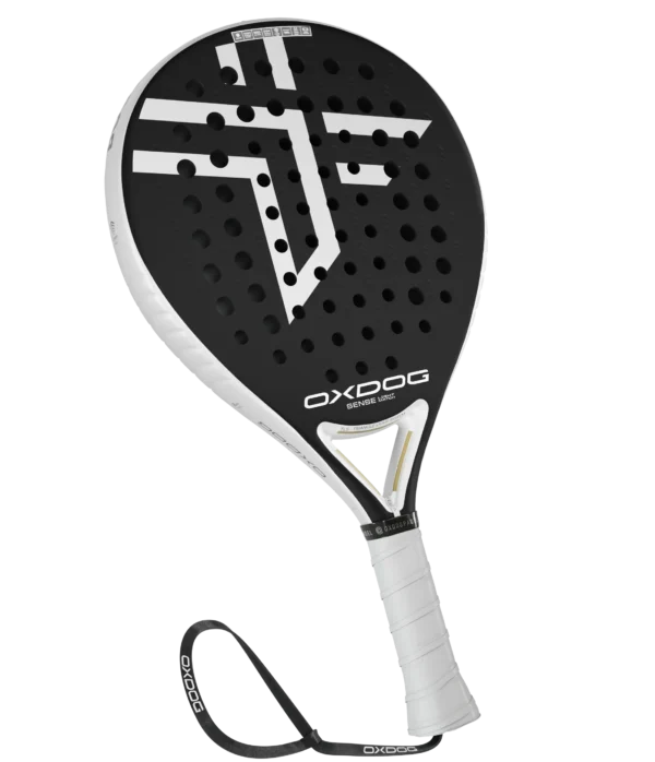 SENSE LIGHT MATCH 2024