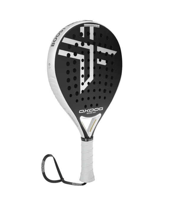 SENSE LIGHT MATCH 2024