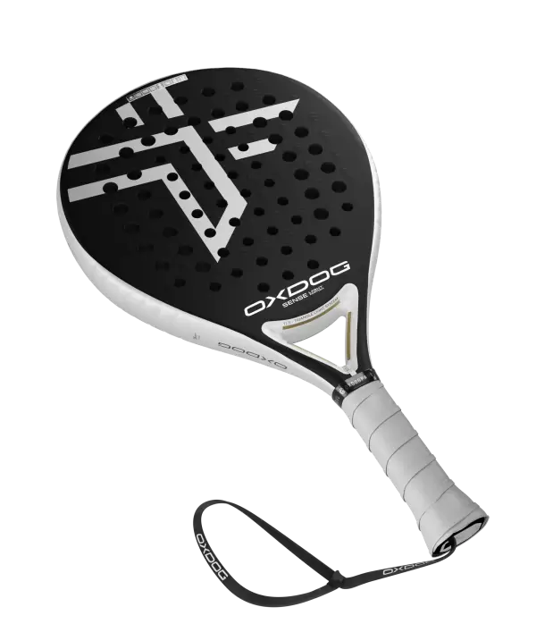 SENSE LIGHT MATCH 2024